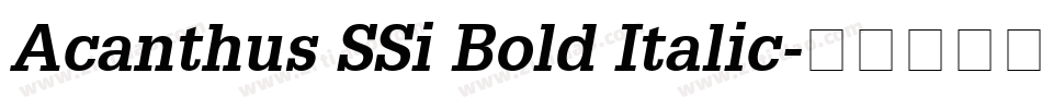 Acanthus SSi Bold Italic字体转换